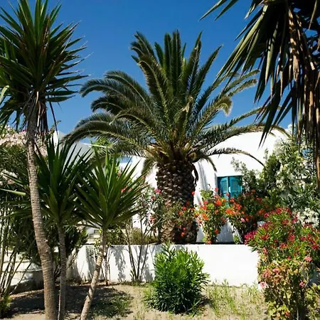 Kostantakis Winery Estate * Pollonia