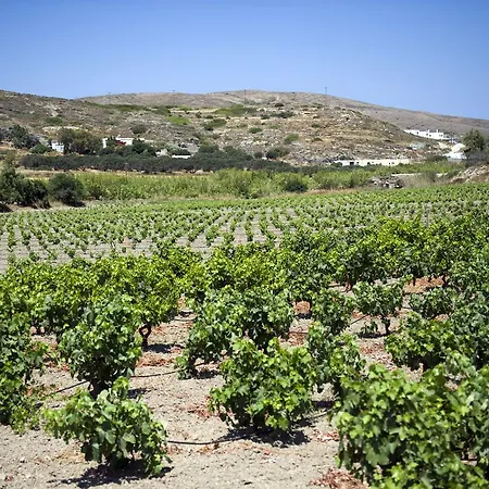 Landhuis Kostantakis Winery Estate *