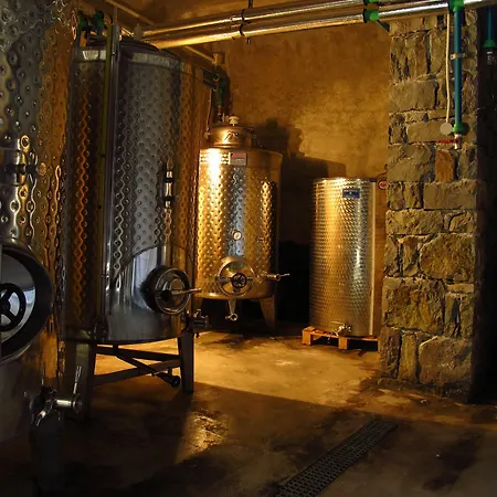 Séjour à la campagne Kostantakis Winery Estate