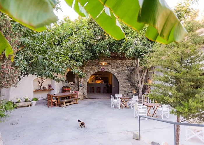 Kostantakis Winery Estate Gospodarstwo wiejskie Pollonia