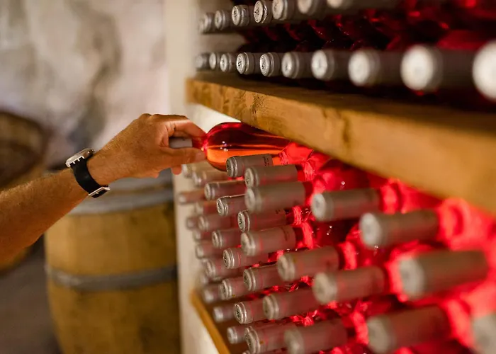 Kostantakis Winery Estate