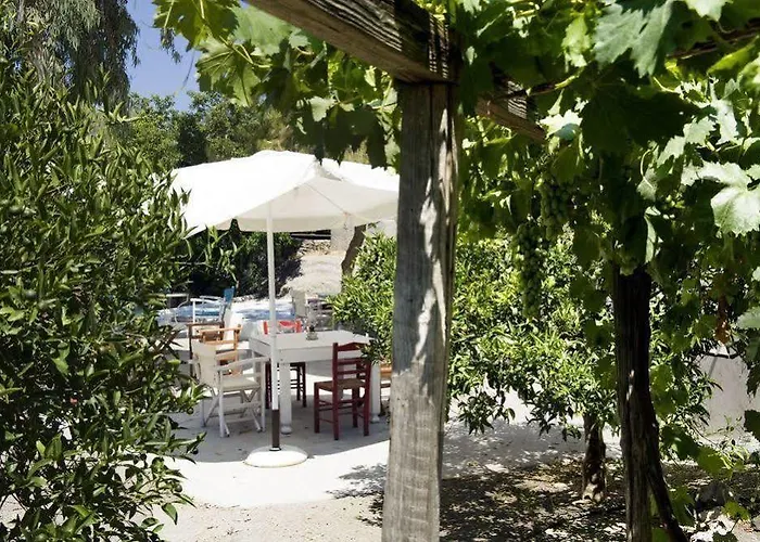 Gospodarstwo wiejskie Kostantakis Winery Estate Pollonia