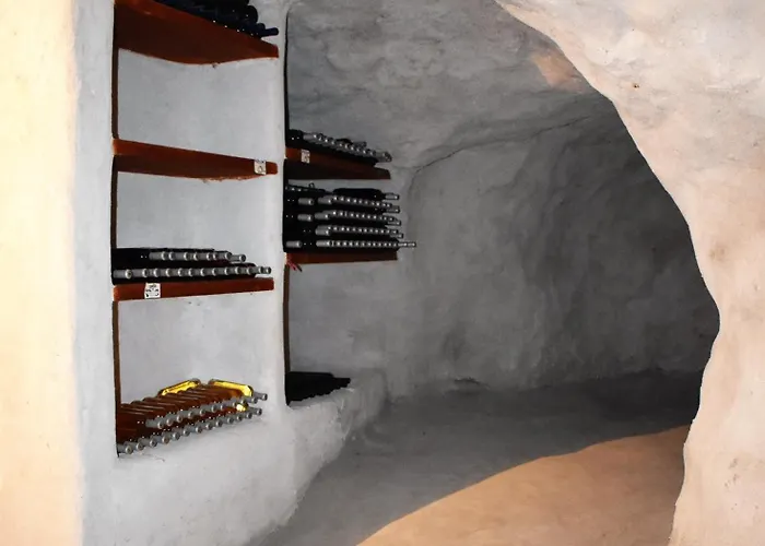 Kostantakis Winery Estate * Pollonia