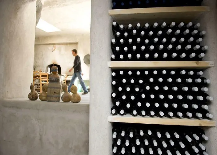 Gospodarstwo wiejskie Kostantakis Winery Estate *