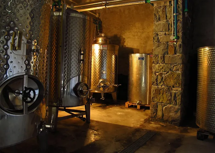 Gospodarstwo wiejskie Kostantakis Winery Estate