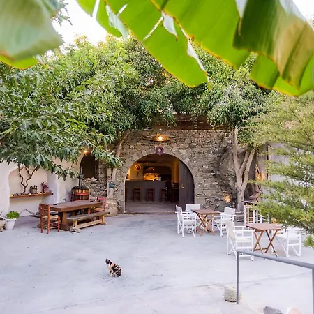 Kostantakis Winery Estate Landsted Pollonia