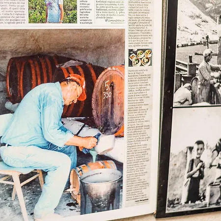 Kostantakis Winery Estate *