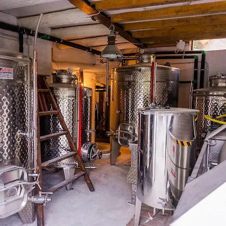 Kostantakis Winery Estate Pollonia