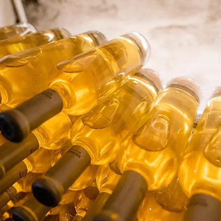 Kostantakis Winery Estate * Pollónia