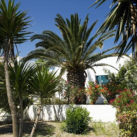 Kostantakis Winery Estate Pollonia