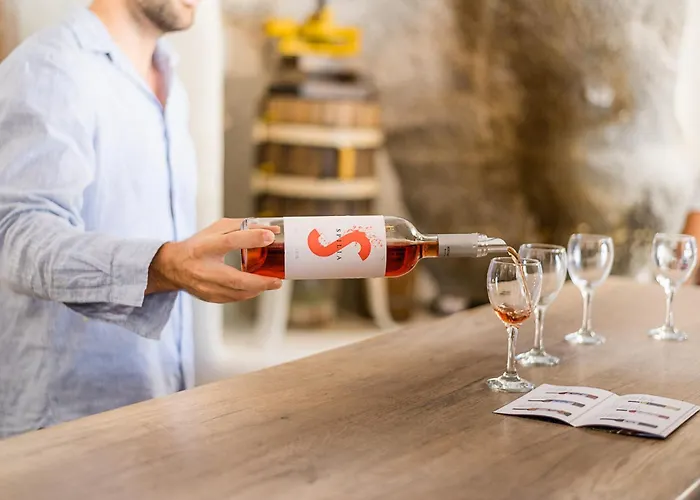 Kostantakis Winery Estate Country house *