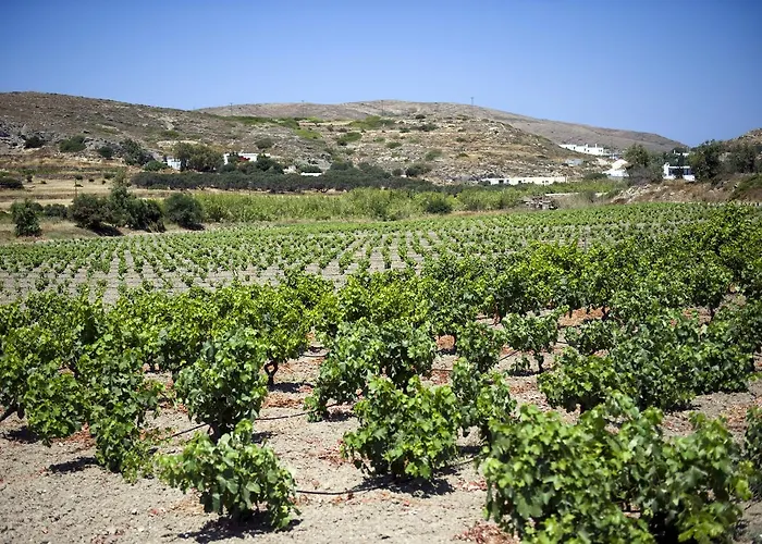 Country house Kostantakis Winery Estate *