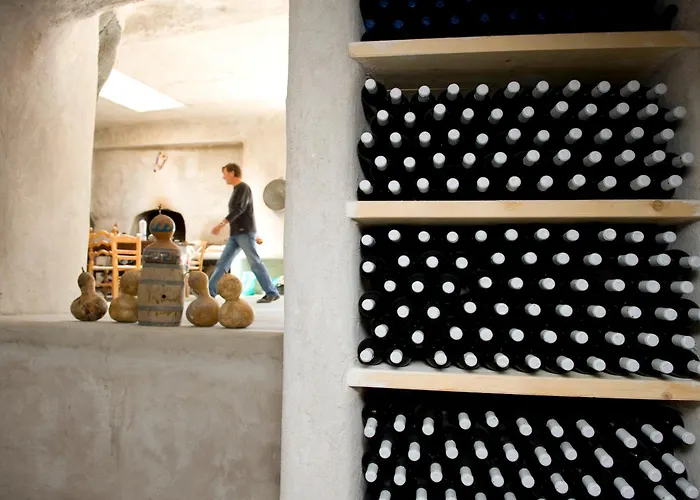 Kostantakis Winery Estate Pollonia